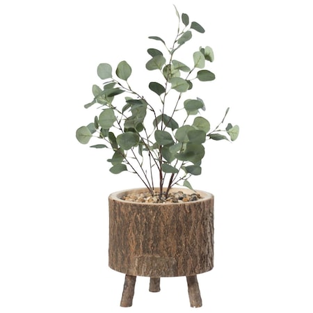 Foro Wooden Stump Tree Log & Bark Planter Pot with Small Tree Branch Legs FO2641826